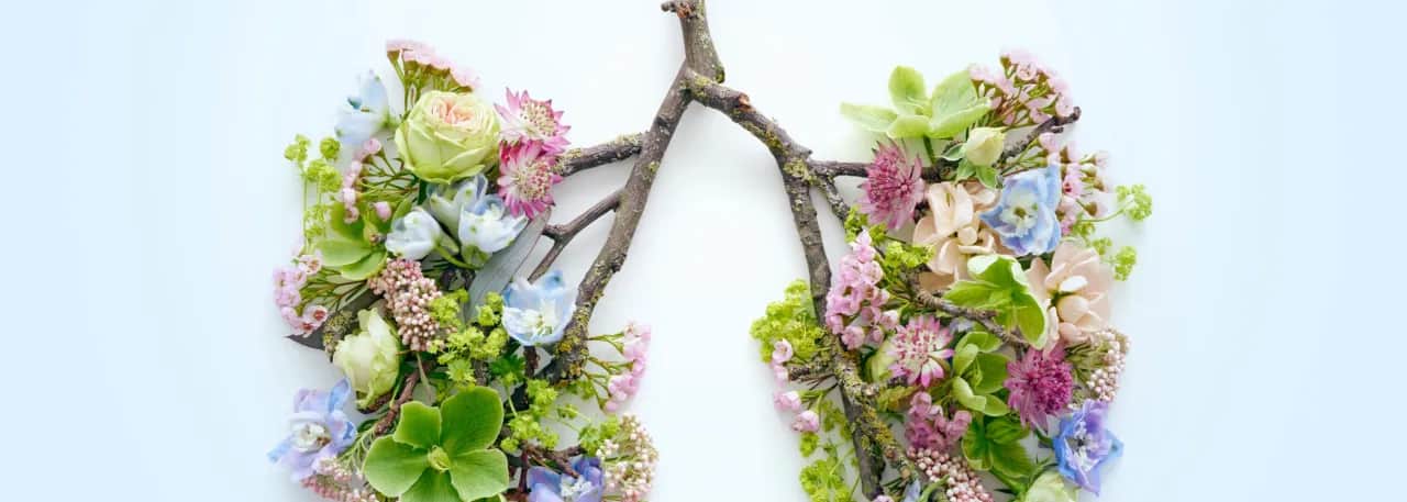 Skuteczne leki na alergię na pyłki traw - ulga w sezonie alergicznym